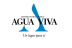 centroevangelisticoaguaviva.com
