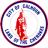 cityofcalhoun-ga.com