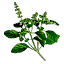 enatural.ro
