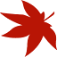 mapledb.kr