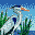 onthepond.com