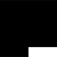 pellehstudio.com