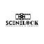 scenelockpro.com