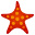 starfish24.com