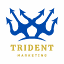 trident-marketing.de