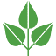 trifaith.org