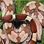 boa-constrictor.com