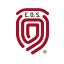 escueladeseguridad.cl