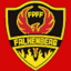 fbgphoenix.se