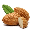 nuts-bg.com