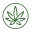 search.cannabis.ca.gov