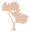 silkoilofmorocco.com.au