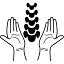 solsticechiropractic.com