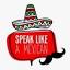 speaklikeamexican.com.mx
