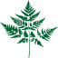 copineseattle.com