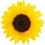grealavie.org