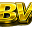 infobv.ro