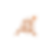 sleegeo.com