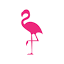 visiturmia.com
