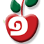aapple.co.il