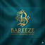 bareezeonline.pk