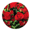 barryflorist.com