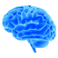 cyberneuro.net