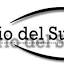 diariodelsurdigital.com.ar