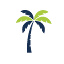 guiavallarta.com