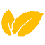mint-solaire.com
