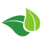 natureelixirs.com