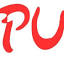 pumataiwan.com