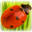 solutions-naturelles.fr