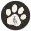 thedailybits.com