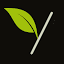 youngleafs.com