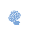5reeef.net