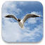 chrisremspecher.de