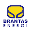 brantas-energi.co.id