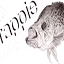 crappie.com