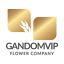 gandomvip.com