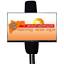 maharashtramazanewsportal.com