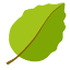 organikablog.ru