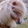 ponybot.website