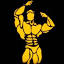 probody.ir