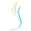 regeneratechiro.com