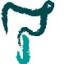 clinicadecoloproctologia.es