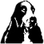 cockerspanielit.org
