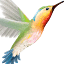 dianemackinnon.com