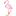flamingosurprise.com