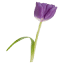 lavioletera.com.mx